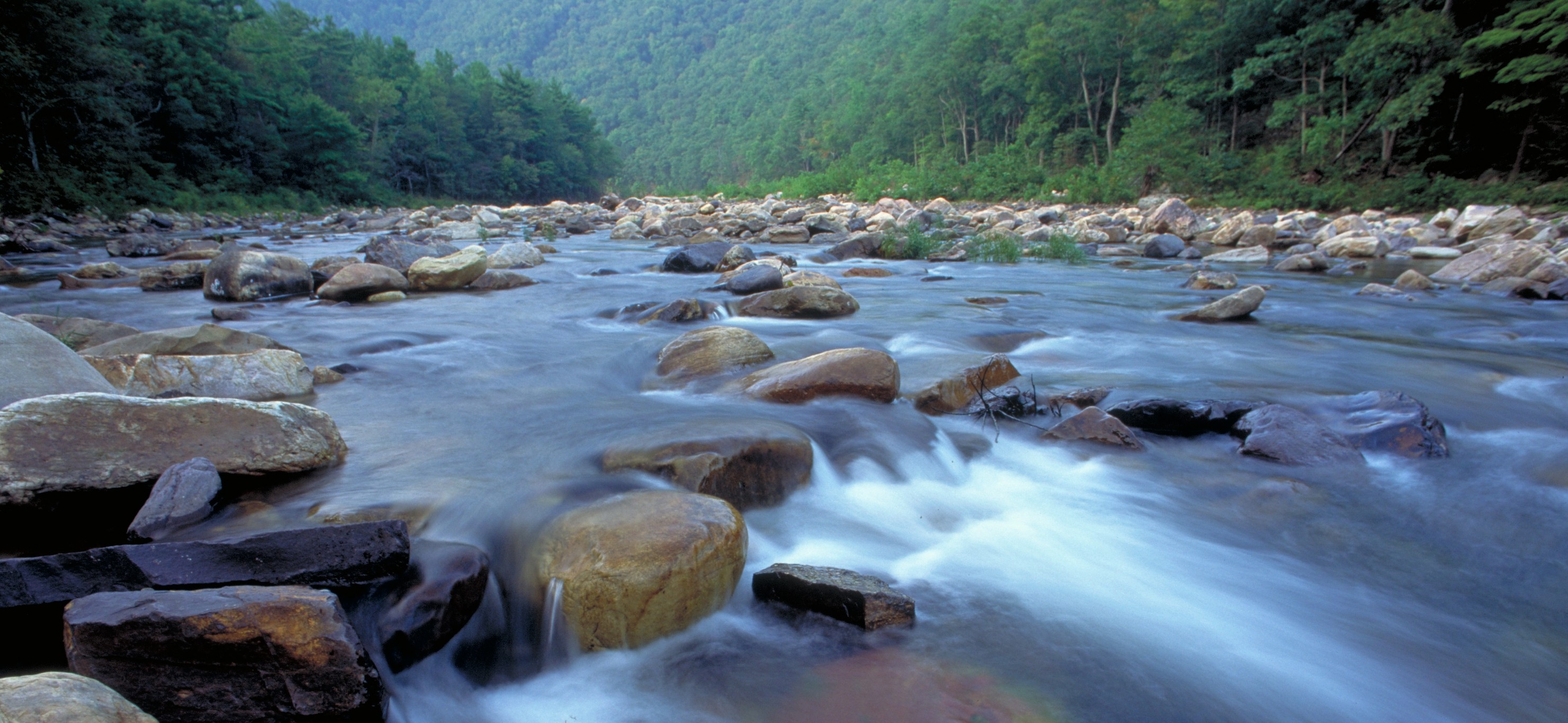 Moormans River, VA